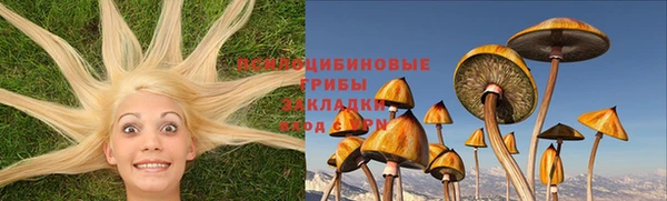 а пвп мука Кинешма