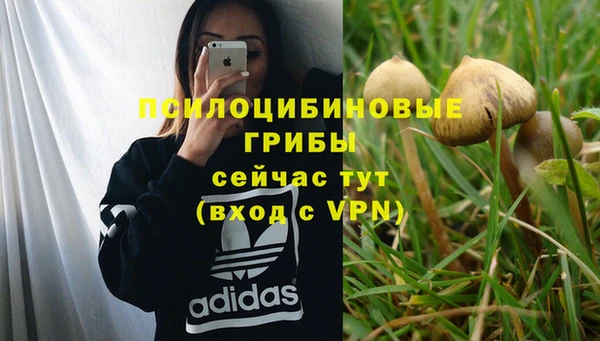тгк Киренск