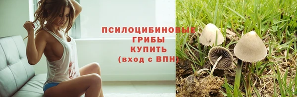 а пвп мука Кинешма