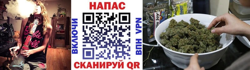 Бошки Шишки семена Эртиль